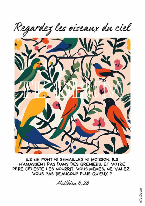 Collection-Matisse-zoom-oiseaux